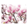 thumbnail image 3 of Tiptophomedecor Floral Wallpaper Wall Mural - Magnolia Bloosom, 3 of 4