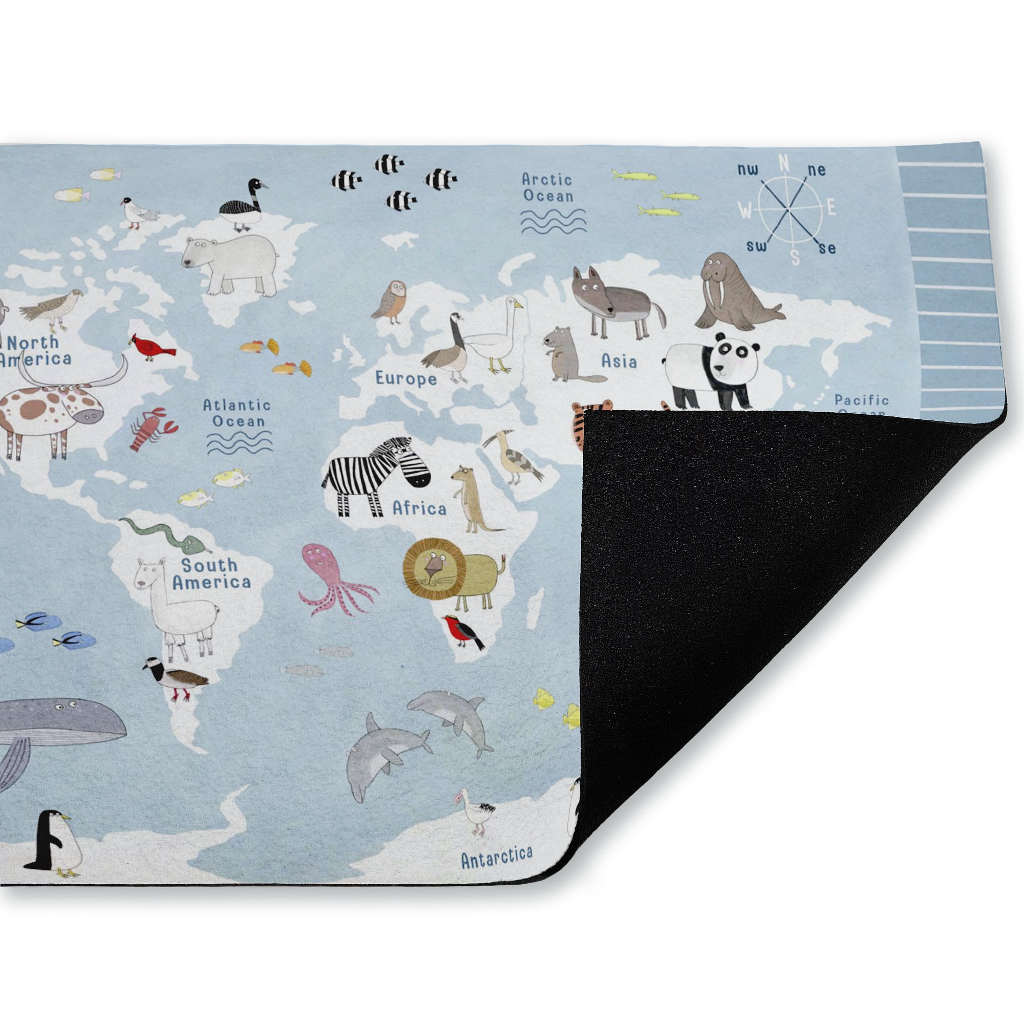 Stupell Industries Educational Animals of the World Printed Outdoor Door Floor Mat, design by Carla Daly