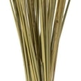 thumbnail image 3 of Vickerman 36" Natural Congo Grass, 8 oz Bundle, Dried, 3 of 4