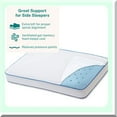 Cooling Gel Memory Foam Pillow Breathable Cover, Head & Neck