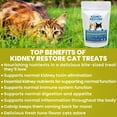 Kidney Restore Cat Treats Tuna Restorative Cat Treats for Kidney