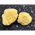 thumbnail image 2 of Esponja marina Constantia Beauty Premium de seda fina natural, 2 unidades, 2 of 8