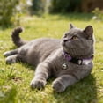 thumbnail image 7 of Mumup Rhinestone Cat Collar Breakaway, Soft Velvet Cat Collars with Bell, Adjustable Comfortable Cats Collar, 7.5-12.5 Inch for Cat, Kittens and Puppies, 7 of 7