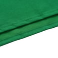 thumbnail image 1 of Fond 3 x / 10 x 10 Pieds Écran Vert Professionnel Fond de Studio Photographie Tissu Polyester-Coton Lavable Design une Pièce Sans Couture pour Portrait, 1 of 6