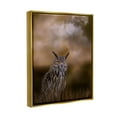thumbnail image 3 of Stupell Nighttime Owl Moonlit Cloudy Sky Animals & Insects Photography Gold Floater Framed Art Print Wall Art, 3 of 6