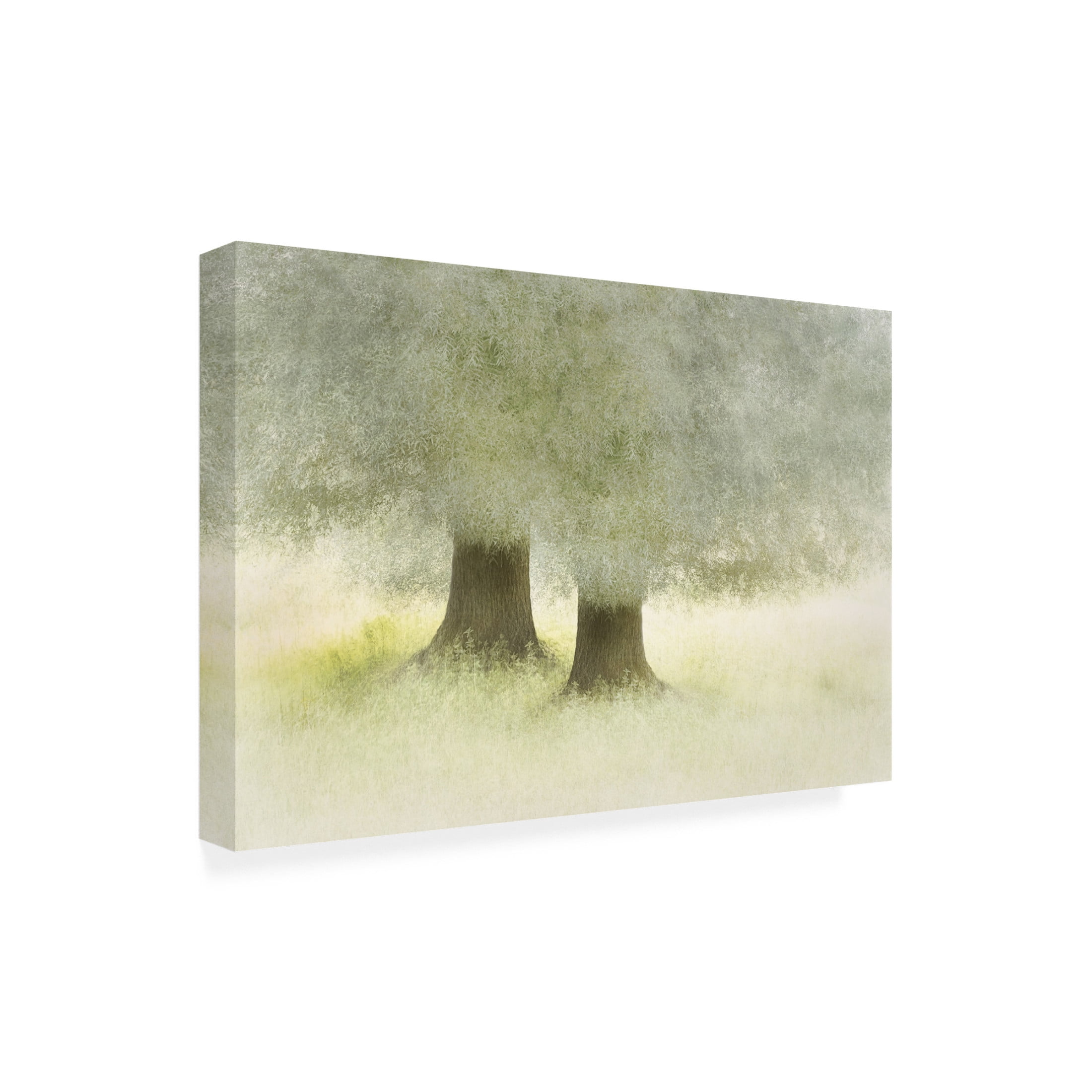 Trademark Fine Art Nel Talen Friendship Canvas Wall Art