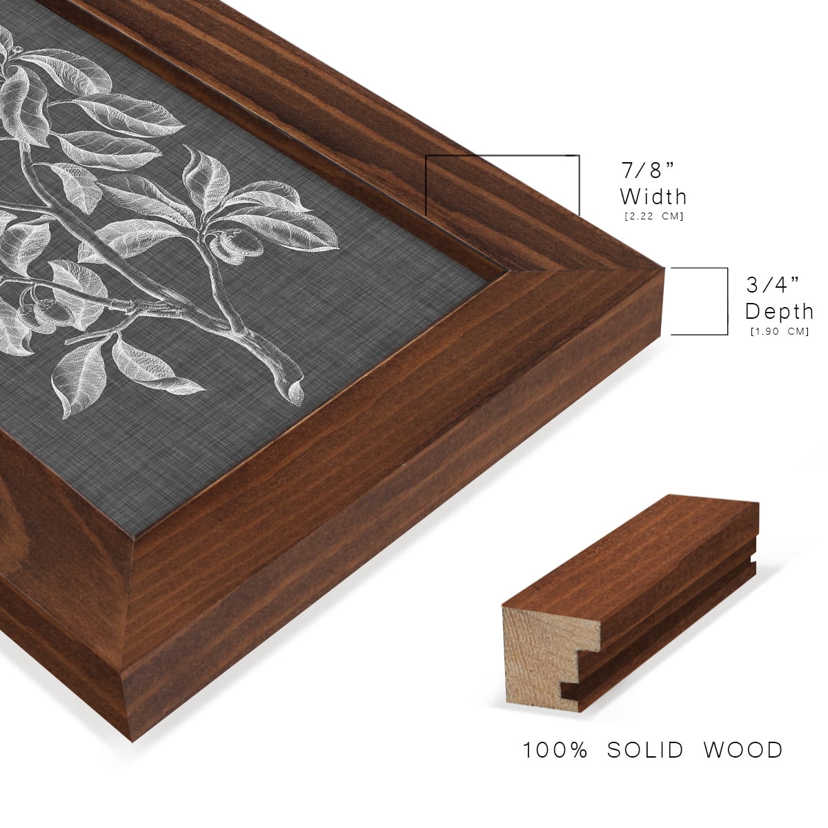 Graphic Foliage I - Framed Print w/glass - Chestnut