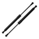 thumbnail image 1 of Soportes de elevación únicos para BMW E46 M3 2001-2006 Convertible/Coupe No.51237893236 Resorte de gas del capó delantero Negro 2 Pcs, 1 of 1
