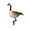 B B, variant on Acrylic Duck Yard Garden Decoration Outdoor Lawn Farm Animal Statue Silhouette Waterproof Realistic Standing Ornament for Home Backyard Landscape Patio