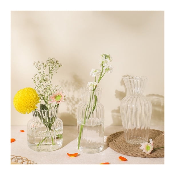 Florero pequeño de cristal, decoración de mesa transparente, sala de estar, cocina, arreglo de té, cultivo de agua, conjunto encantador