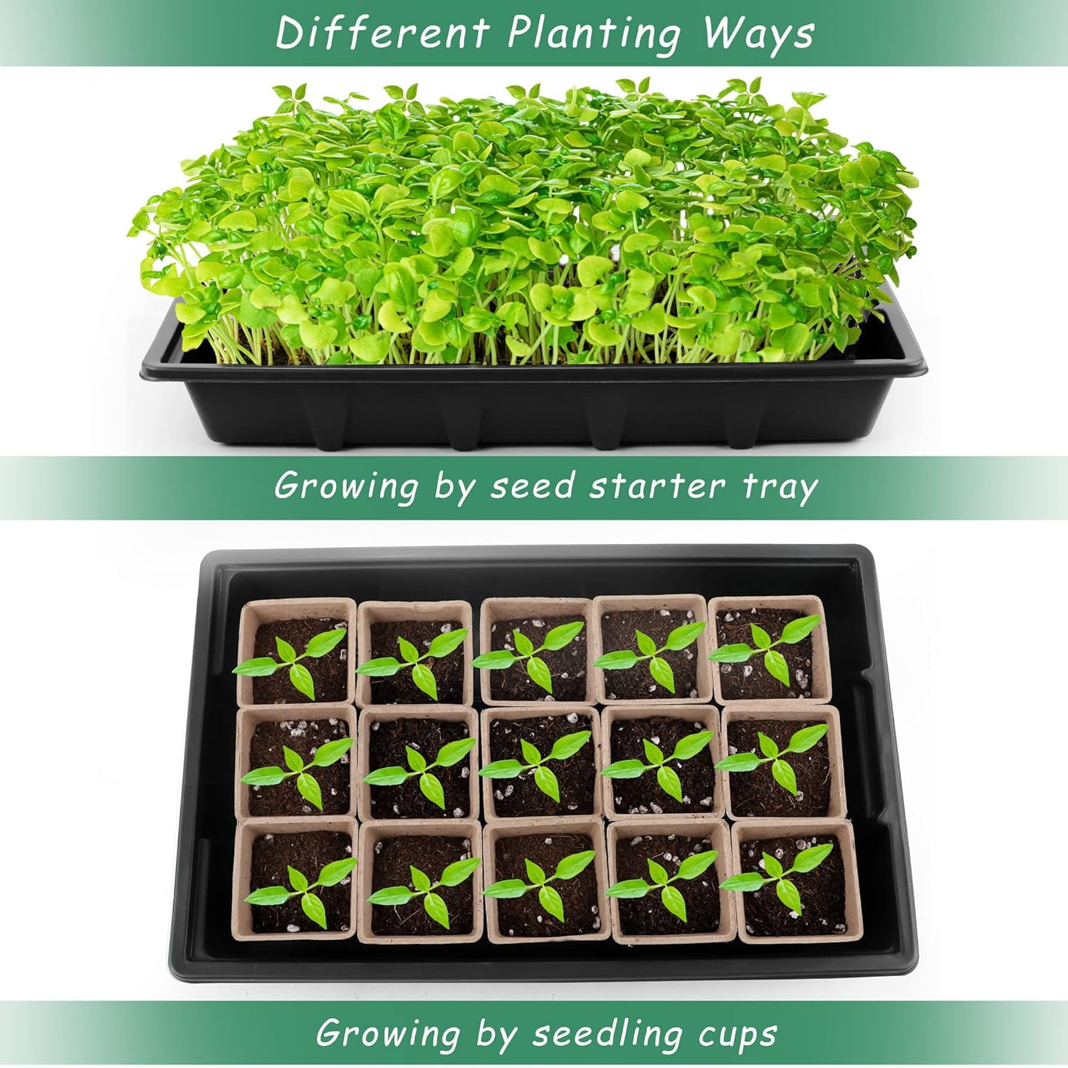 Seed Starter Tray Kit, 120 Square Seed Peat Pots for Seedlings with Plants Labels, Planting Tools, Plastic Growing Germination Trays with Lids for Indoor Outdoor Gardening