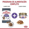 thumbnail image 3 of Royal Canin Alimento húmedo para gato appetite control 24pza, 3 of 4