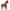 Brown, variant on PonyCycle Ride on Horse Toy Riding Plush Pony Walking Rocking Horse Toy with Hand Brake for Toddlers Age 3-4 Years Ux324