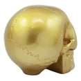thumbnail image 5 of Pirate's Loot Gold Skull Statue Day Of The Dead Skull Head Gothic Resin Figurine, 5 of 5