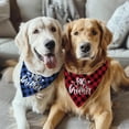 thumbnail image 5 of Big Brother Dog Bandana 2 Pack Plaid Dogs Bandanas Triangle Pet Scarf Pregnancy Announcement Gender Reveal Outfit Gift for Dog Lover Owner (Blue,Red) Small, 5 of 6