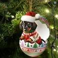 thumbnail image 5 of Luoshdecor Christmas Tree Ornament，Hatching Born Dachshund Dog Acrylic Pendants, Christmas Tree Decor Dog, Home Decor for Fireplaces, Windows, Doors, Walls, 5 of 7