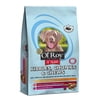 Ol' Roy Kibbles, Chunks, & Chews Dry Dog Food, 4 Lbs.