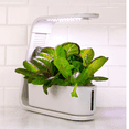 thumbnail image 2 of AeroGarden Sprout Hydroponic Garden System, White, 2 of 2
