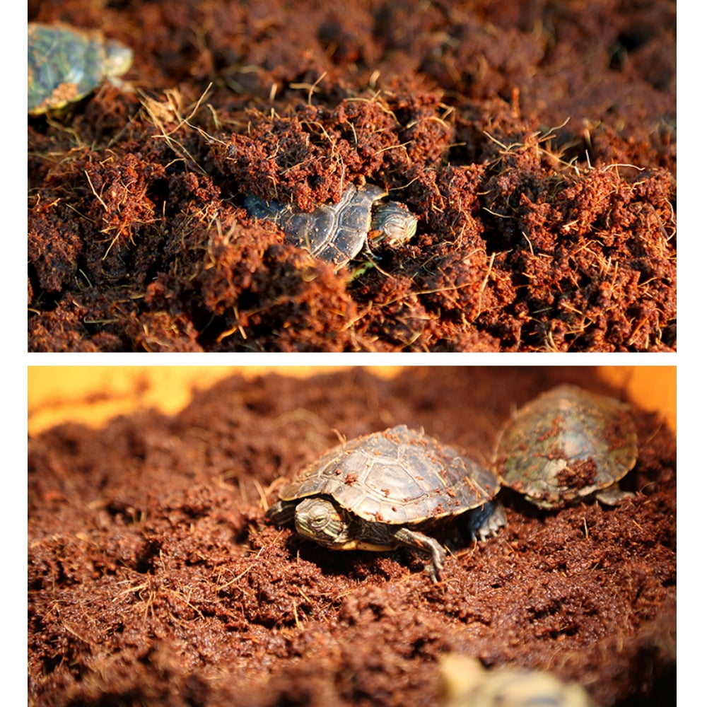 600g Compressed Reptile Coconut Brick Coco Coir Substrate for Reptiles
