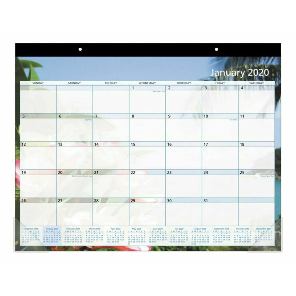 Office Depot Brand Monthly Desk Pad Calendar, 22x17, Paradise, 2020