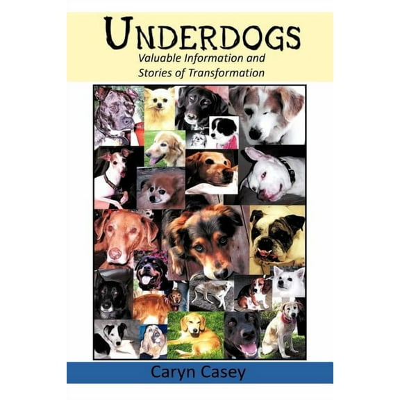 Underdogs: Valuable Information and Stories of Transformation (Paperback)
