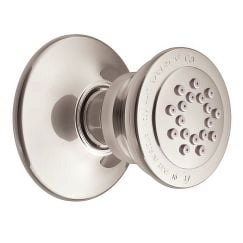 Moen Polished Nickel Body Spray