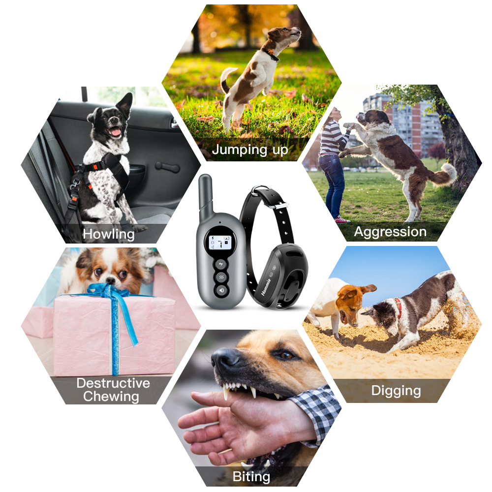 shock collar for digging