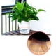 thumbnail image 3 of 2 Piezas / Set Flor Transparente Autofloreciente Cesta de Flores Cuadrado Sunnimix Jardinera automática, 3 of 8