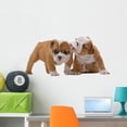 thumbnail image 1 of English Bulldog Puppies Wall Decal by Wallmonkeys Peel and Stick Graphic (36 in W x 24 in H) WM255047, 1 of 4