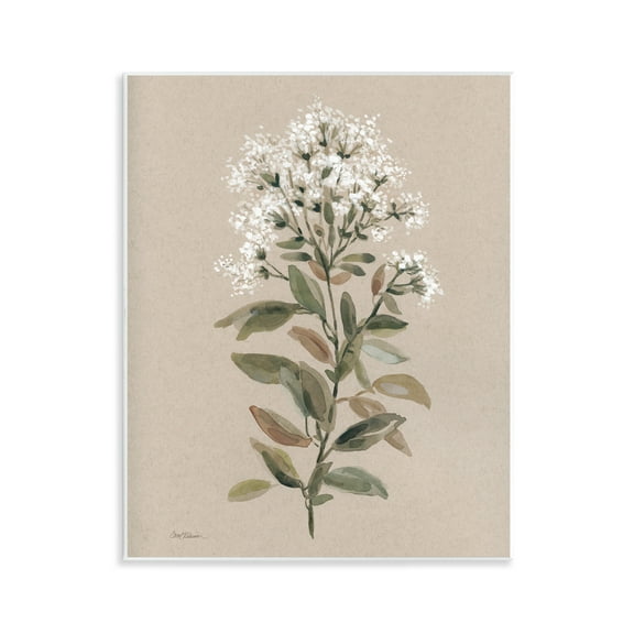 Stupell Industries Blooming Watercolor Flower Botanical & Floral Painting Unframed Art Print Wall Art, 11 x 14