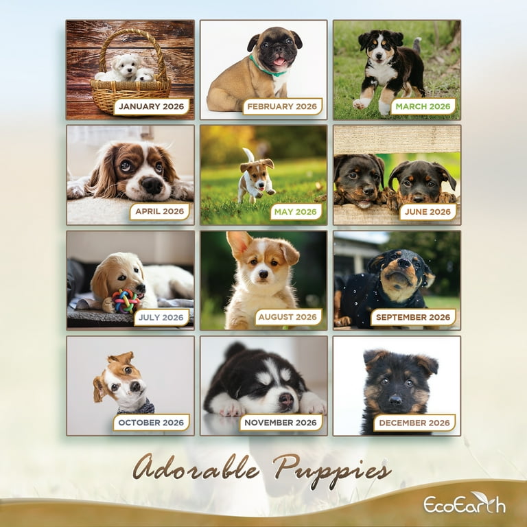 EcoEarth 2026 Biodegradable Wall Calendar - 11x22 Inch, Vertical Hanging, Baby Animals Theme, Monthly Layout With Large Writing Blocks 1 thumbnail image