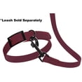 thumbnail image 5 of DogLine - Biothane Waterproof Dog Collar Strong Coated Nylon Webbing with Black Hardware Odor-Proof for Easy Care Clean High Performance Fits Small Medium Large Dogs(Berry: L: 22" - 25" |W 1"), 5 of 8