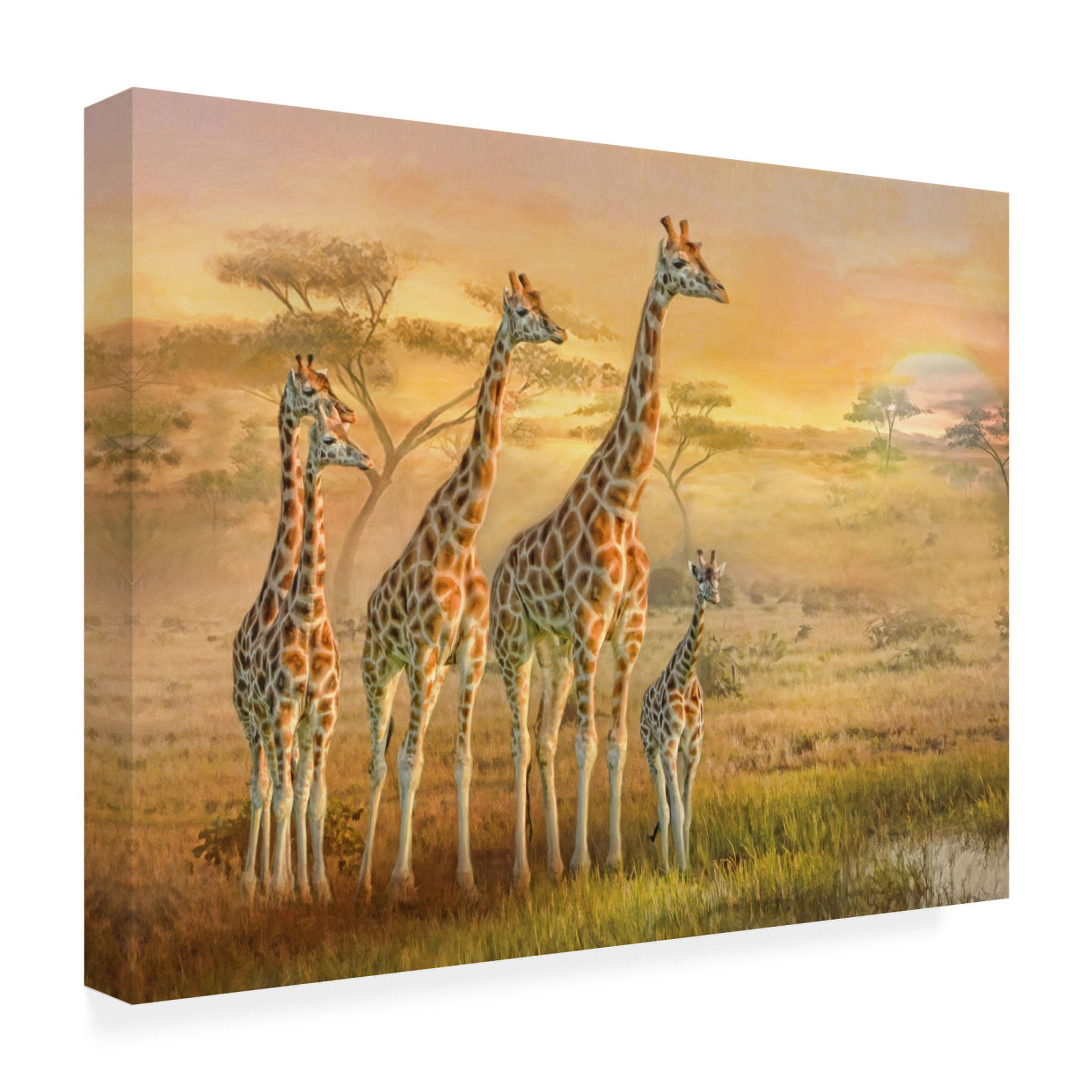 Canvas Wall Art - Trudi Simmonds 'Giraffe Family' Wall Art for Living Room, Bedroom, or Office Décor by Trademark Fine Art - 47 x 35 Inches