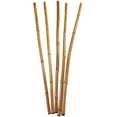 thumbnail image 6 of 47" Dried Plant Natural Foliage Sticks Bouquet, by DecMode, 6 of 7