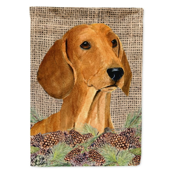 Carolines Treasures SS4078-FLAG-PARENT Dachshund Flag multicolor