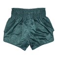 thumbnail image 2 of Fairtex Slim Cut Muay Thai Boxing Shorts (Jungle Hunter, X-Large), 2 of 5