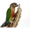 thumbnail image 3 of Seagrass Bird Cage Mat, Natural Woven Rope Ladder, Pet Climbing Toy for Parakeet, Parrot, Cockatiel, 3 of 9