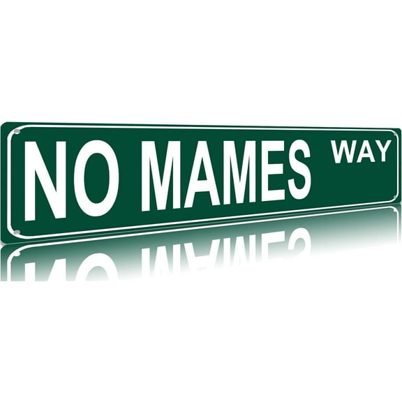 No Mames Way Aluminium Metal Sign Mexican Rd Ave Funny Vintage Slim Street Signs 16X4 Inch Wall Art Decor For Home Farmhouse Garage Man Cave Gifts