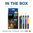 EPSON 802 DURABrite Ultra Ink High Capacity Black & Standard Color