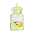 thumbnail image 2 of kkbbma under $5 Mini Glass Jar Small Glow in the Dark Seashell Drift Bottle Conch Glass Bottle Clear Round Bottle Decoration with Glow in the Dark Seashell for Home Decor DIY Crafts, 2 of 6
