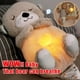 thumbnail image 2 of Dropshipping Schlummerotter Sleep Plush Koala Sensory Toys Gift Breathing Schlummer Otter Music Appease Gift Plush Dinosaur Toys, 2 of 5