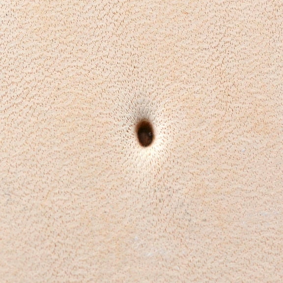 Leather Stamping Tool, Seeders, Smooth