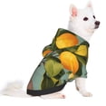 thumbnail image 2 of Goofa Retro Warm Lemon Flower Pattern Small Dog Sweater Hoodies Pet Grey Hooded Soft Fleece Sweatshirts with Pocket Fall Winter Puppy Cat Sweaters Warm Clothes-X-Small, 2 of 8