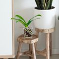 thumbnail image 4 of HONMEET Window Box Planter for Plants - Transparent Acrylic Nursery Plant Pot 5pcs, 4 of 7