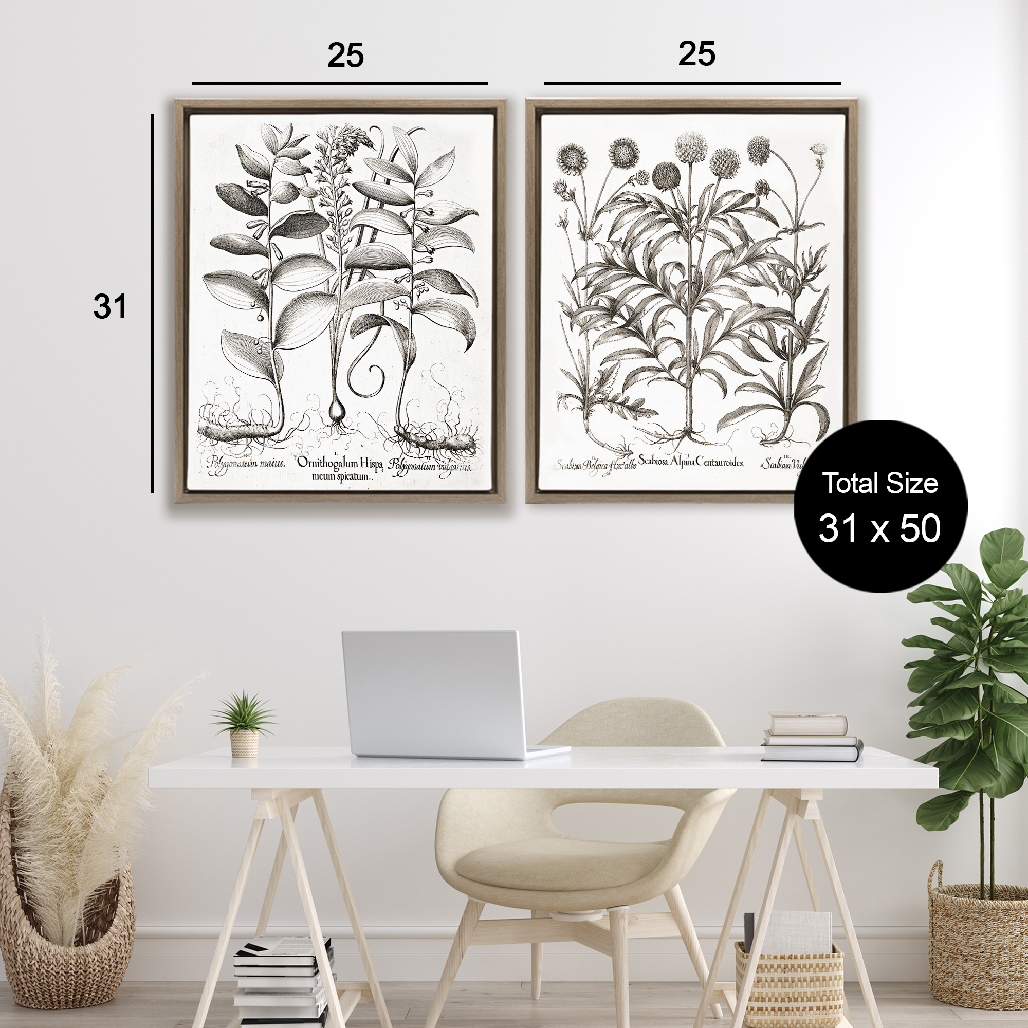 Botanical Root & Plant Studies 2 Piece Brown Framed Floater Canvas Set, design by Lettered and Lined