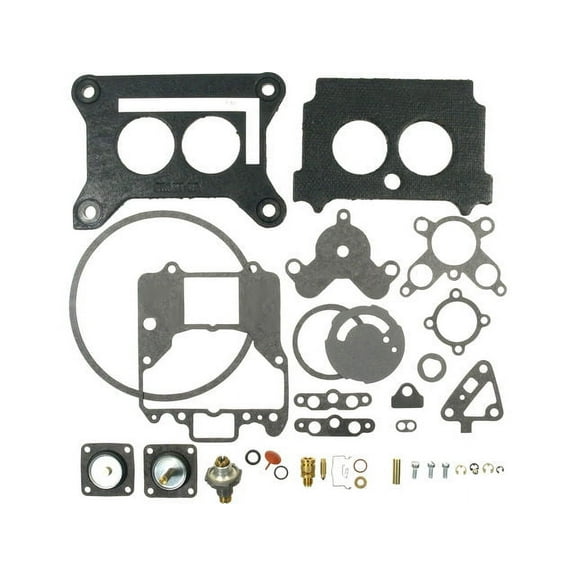 Carburetor Repair Kit - Compatible with 1977 - 1979 Ford Thunderbird 1978