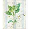 thumbnail image 2 of Nai, Danhui 15x18 Black Ornate Wood Framed with Double Matting Museum Art Print Titled - Floursack Herbs IV, 2 of 4