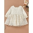 thumbnail image 2 of Bagilaanoe Newborn Baby Girl Romper Dress Long Sleeve A-line Princess Dresses 3M 6M 9M 12M 18M Infant Lace Floral Tulle Skirt, 2 of 7