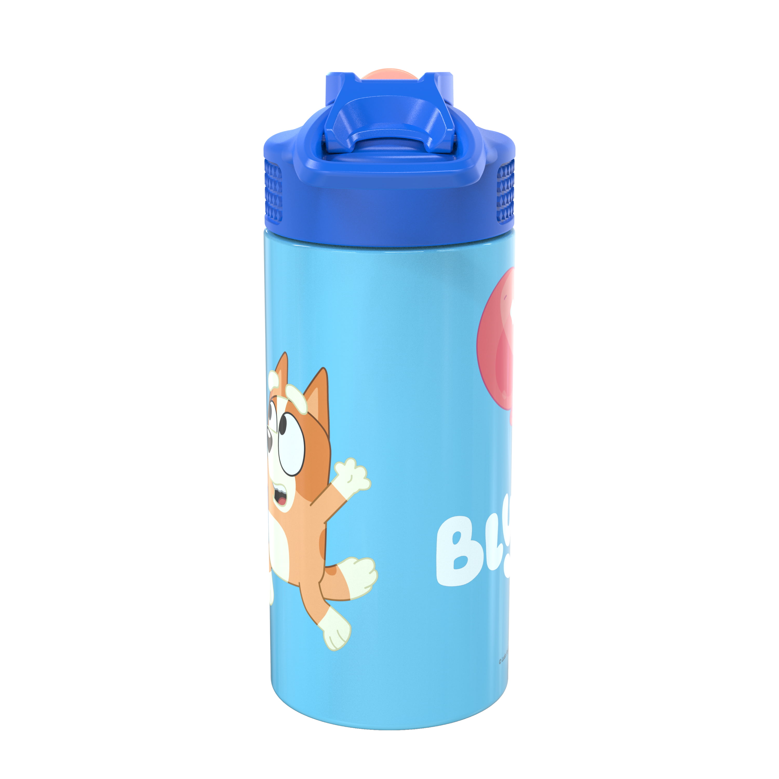 Shop Eddy®+ Kids 14 oz Bottle, Stainless Steel Single Wall and