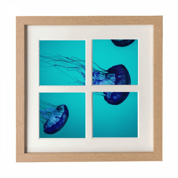 Ocean Jellyfish Science Nature Picture Frame Wall Tabletop Display 4 Openings Picture